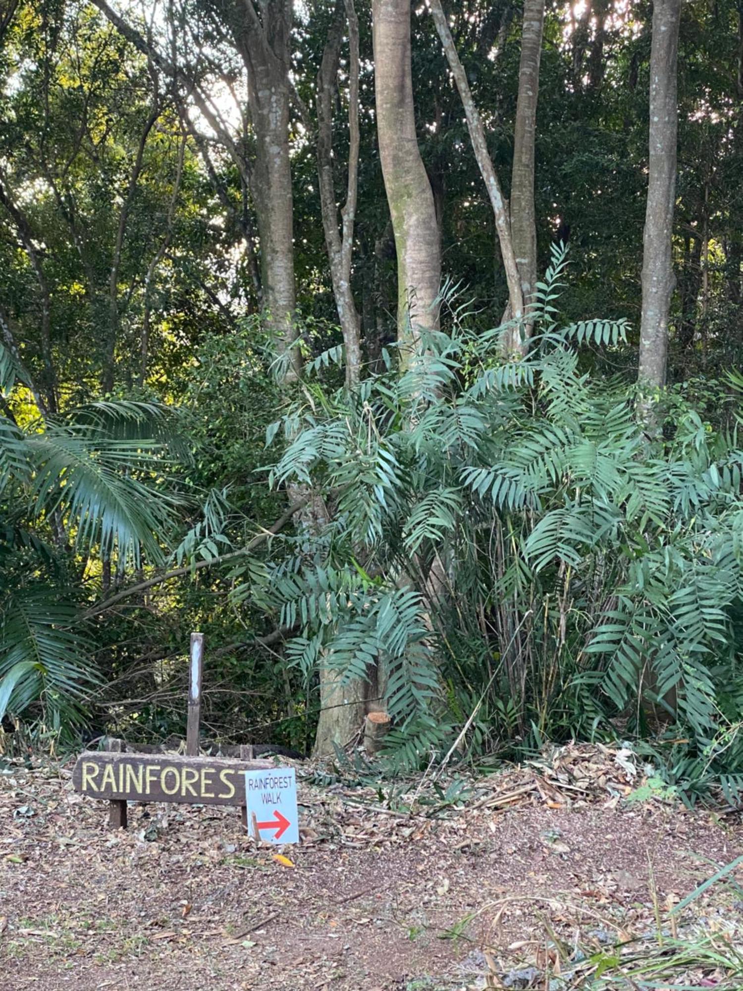 Koala Cabins Sunshine Coast Mapleton Buitenkant foto