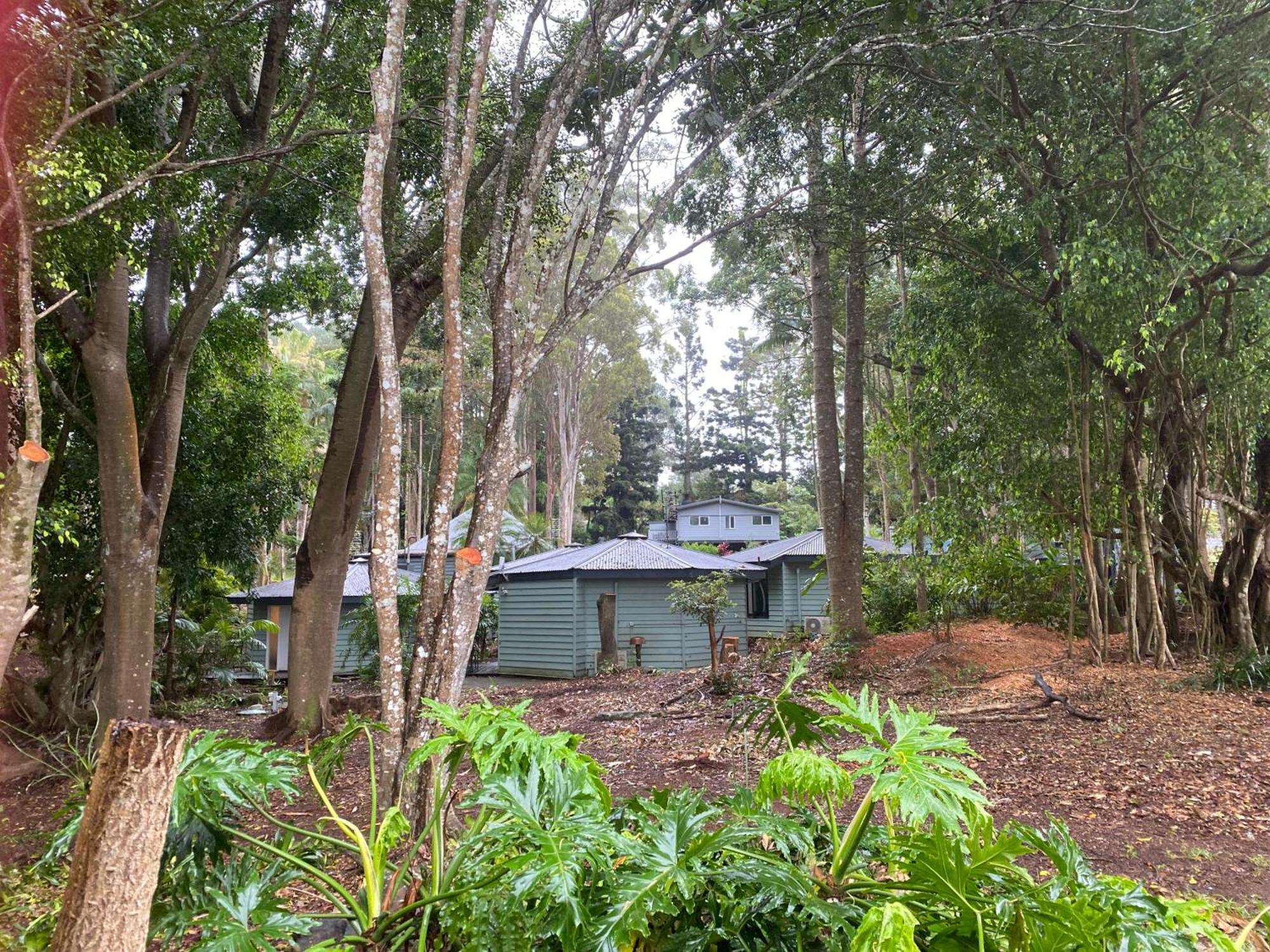 Koala Cabins Sunshine Coast Mapleton Buitenkant foto