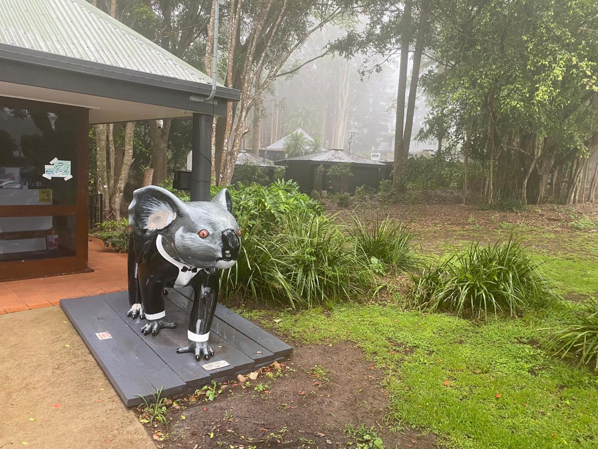 Koala Cabins Sunshine Coast Mapleton Buitenkant foto