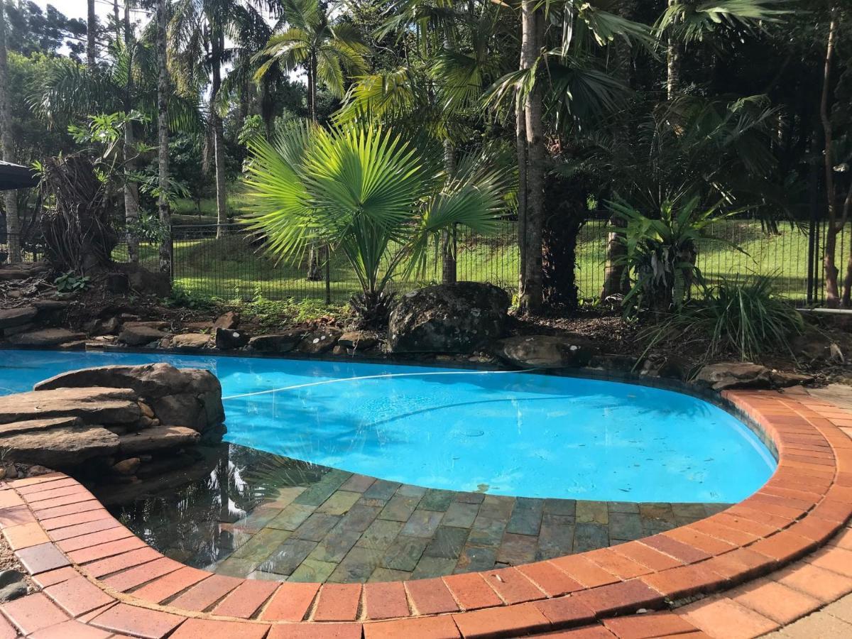 Koala Cabins Sunshine Coast Mapleton Buitenkant foto